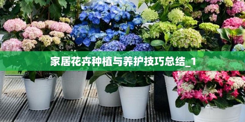 家居花卉种植与养护技巧总结_1