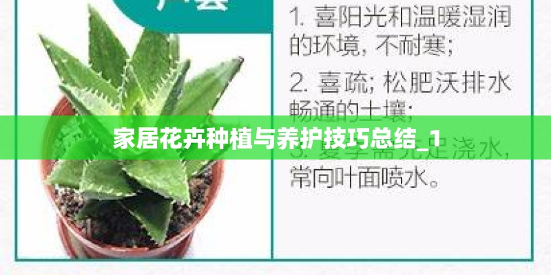家居花卉种植与养护技巧总结_1
