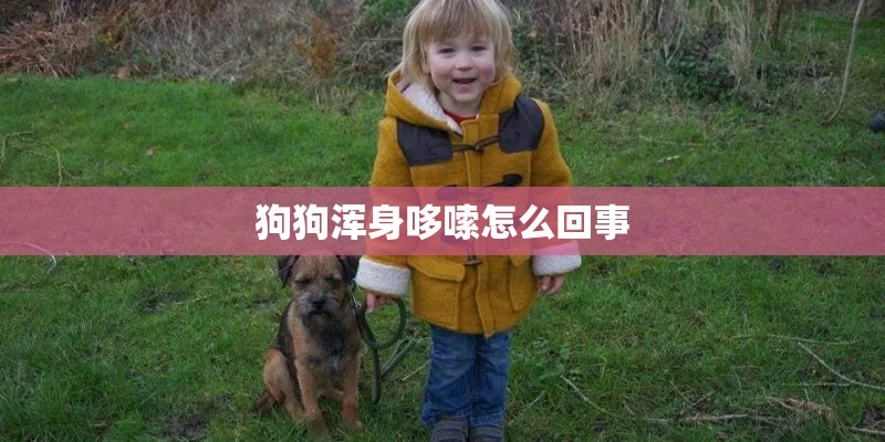 狗狗浑身哆嗦怎么回事