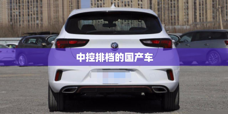 中控排档的国产车