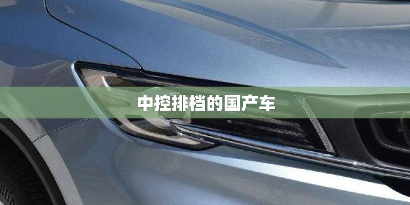 中控排档的国产车