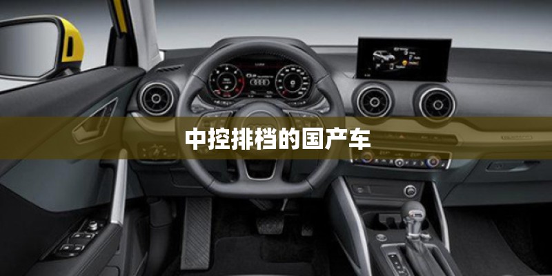 中控排档的国产车