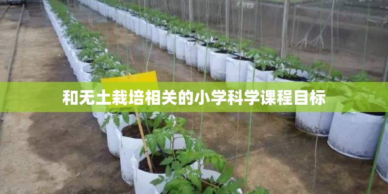 和无土栽培相关的小学科学课程目标 和无土栽培相关的小学科学课程目标
