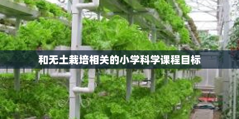 和无土栽培相关的小学科学课程目标 和无土栽培相关的小学科学课程目标