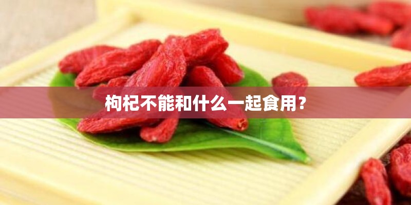 枸杞不能和什么一起食用？