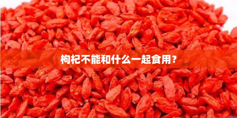 枸杞不能和什么一起食用？
