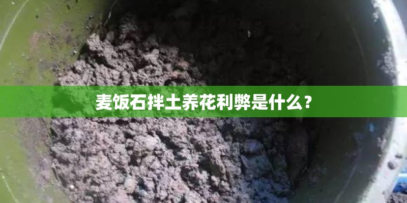 麦饭石拌土养花利弊是什么？