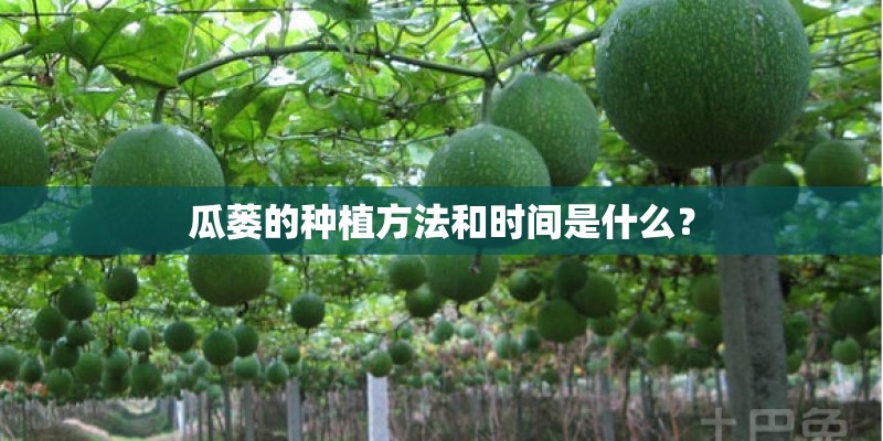 瓜蒌的种植方法和时间是什么？