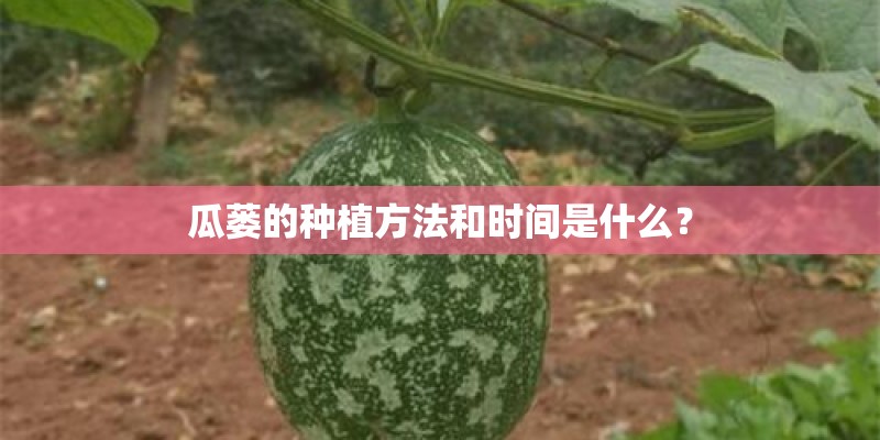 瓜蒌的种植方法和时间是什么？