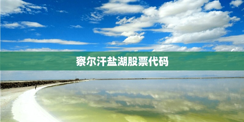 察尔汗盐湖股票代码