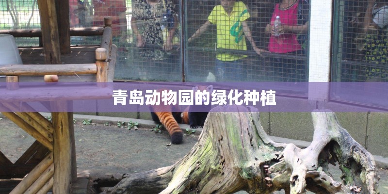 青岛动物园的绿化种植