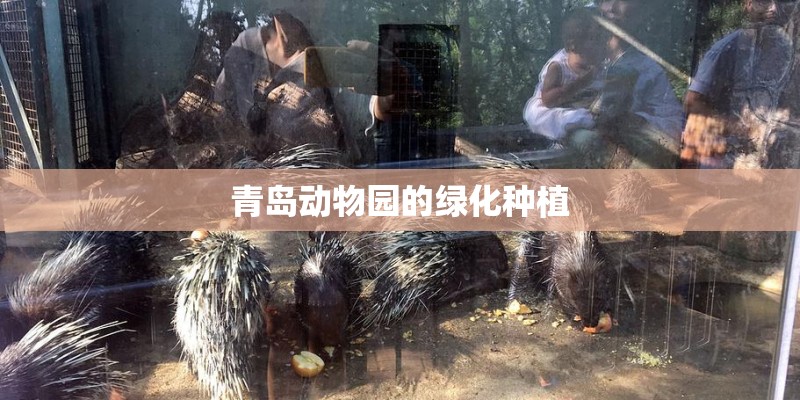 青岛动物园的绿化种植