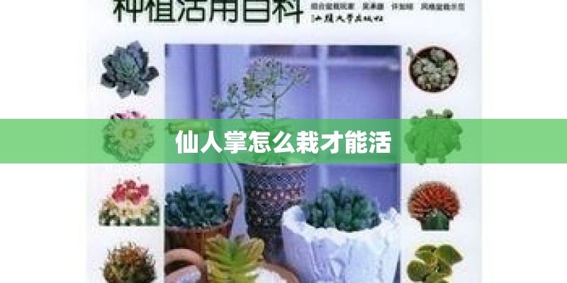 仙人掌怎么栽才能活