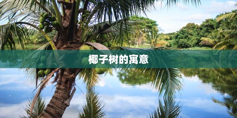 椰子树的寓意