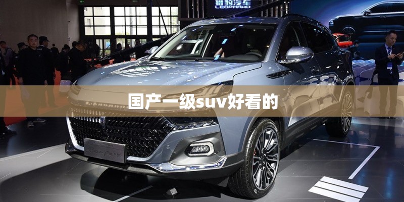 国产一级suv好看的