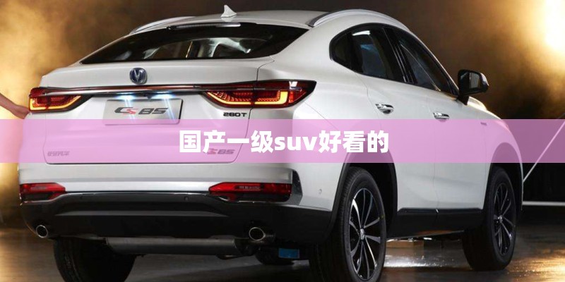 国产一级suv好看的
