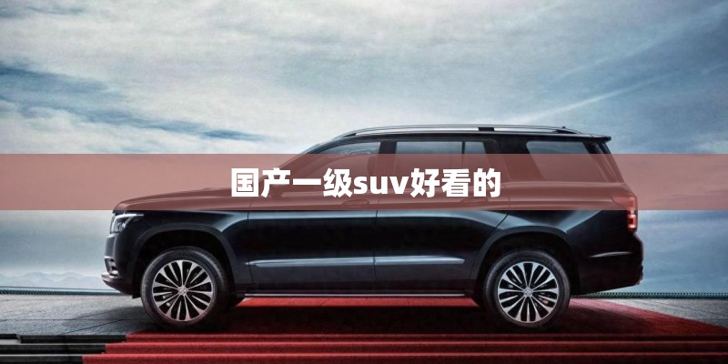国产一级suv好看的