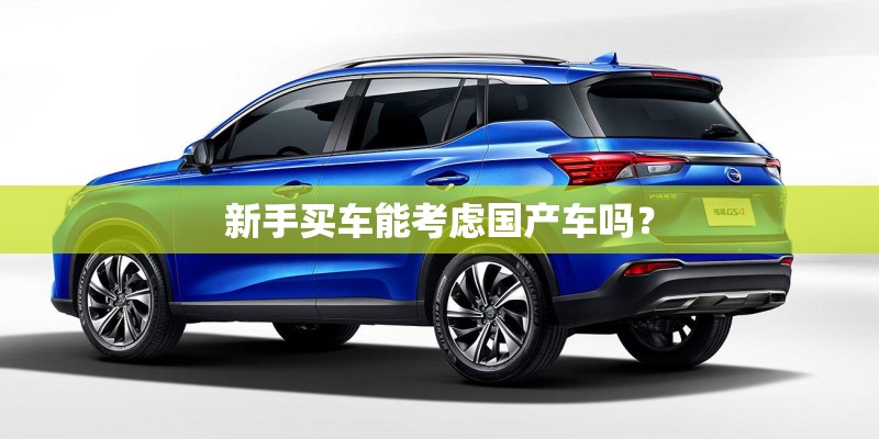 新手买车能考虑国产车吗? 新手买车能考虑国产车吗?
