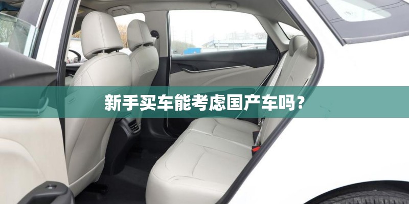 新手买车能考虑国产车吗? 新手买车能考虑国产车吗?