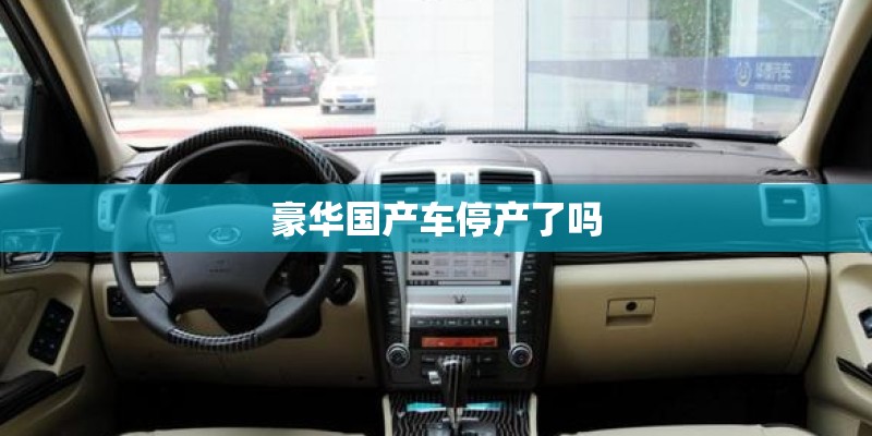 豪华国产车停产了吗