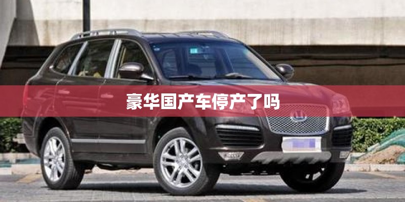 豪华国产车停产了吗