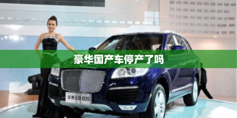 豪华国产车停产了吗