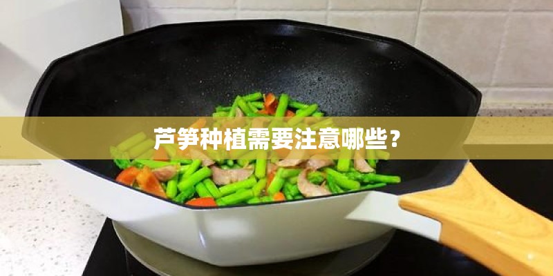 芦笋种植需要注意哪些？
