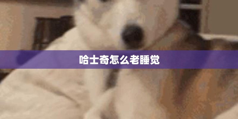 哈士奇怎么老睡觉