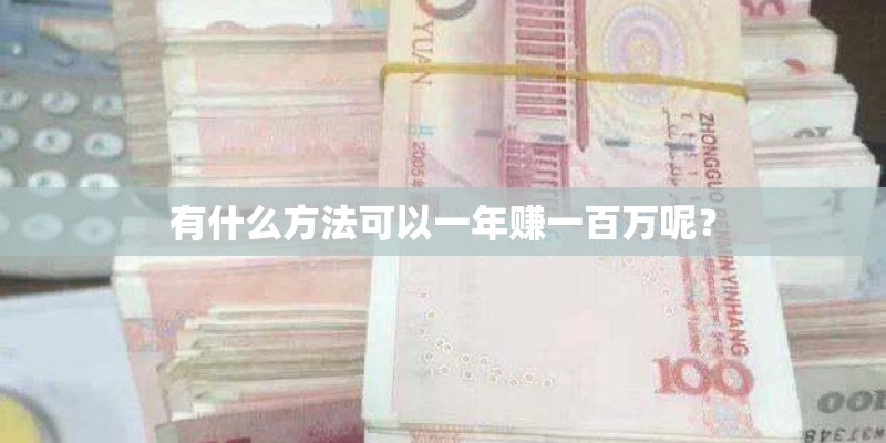 有什么方法可以一年赚一百万呢？