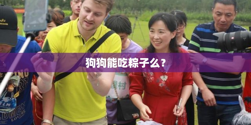 狗狗能吃粽子么？