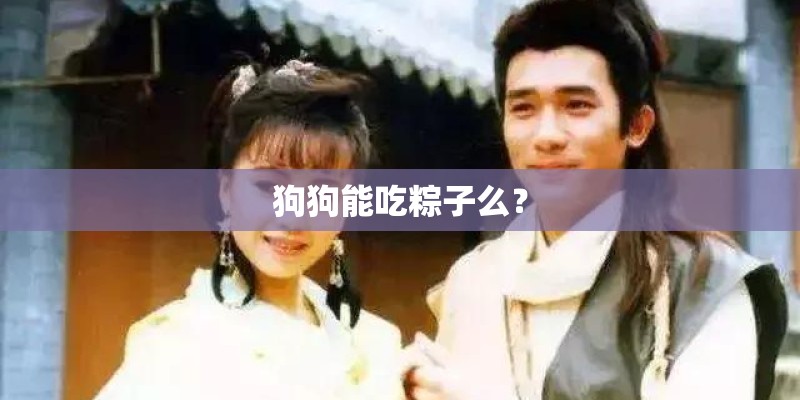 狗狗能吃粽子么？