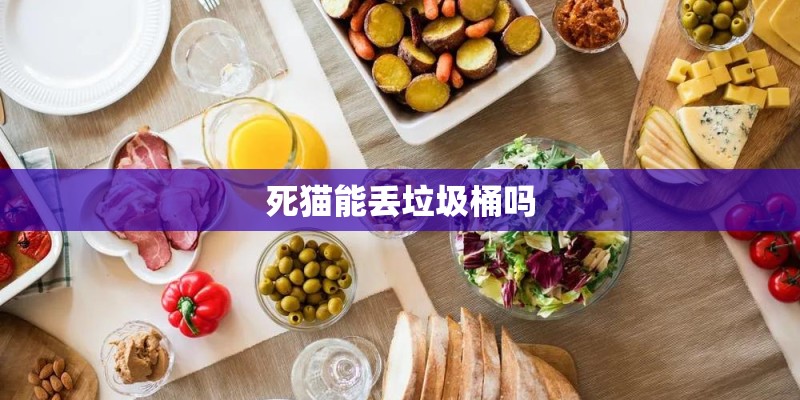 死猫能丢垃圾桶吗