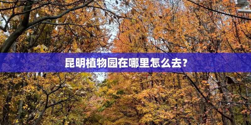 昆明植物园在哪里怎么去？