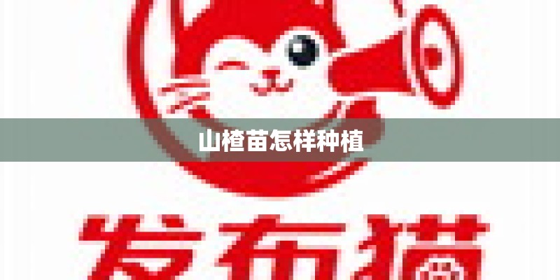 山楂苗怎样种植