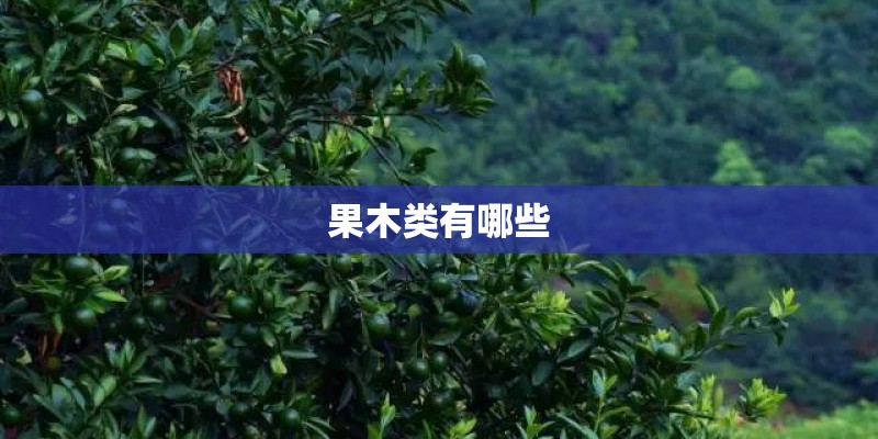 果木类有哪些