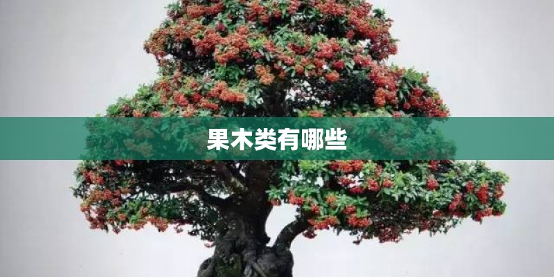 果木类有哪些