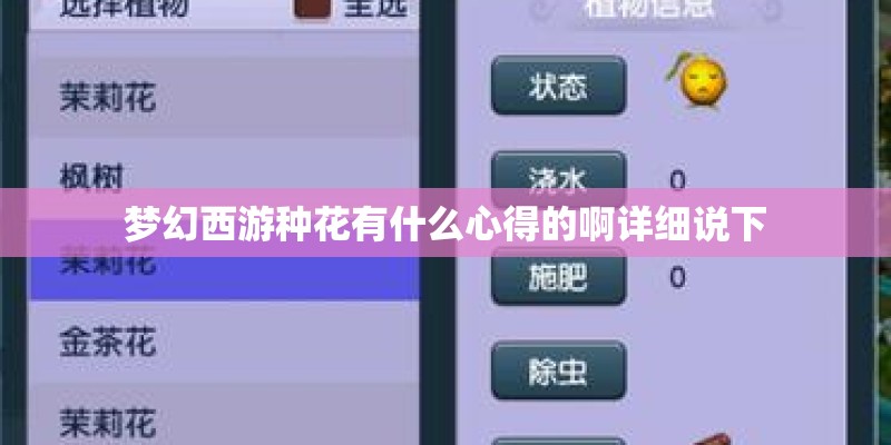 梦幻西游种花有什么心得的啊详细说下