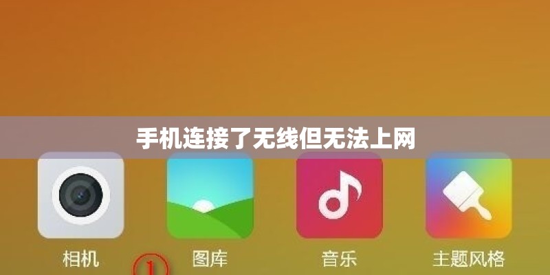 手机连接了无线但无法上网