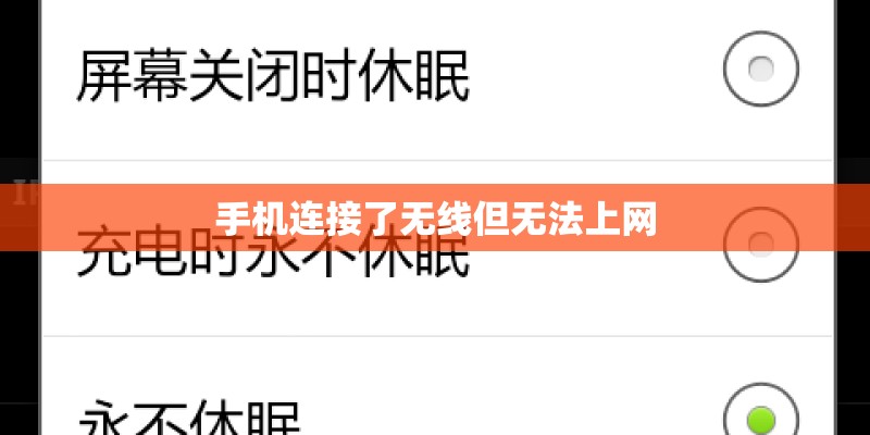 手机连接了无线但无法上网