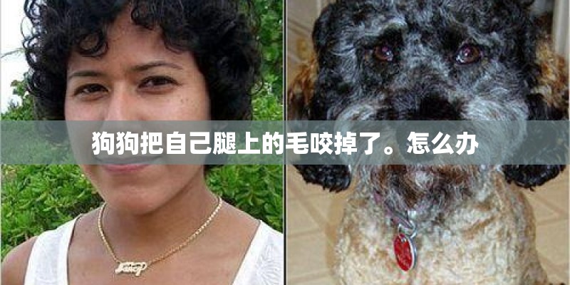 狗狗把自己腿上的毛咬掉了。怎么办