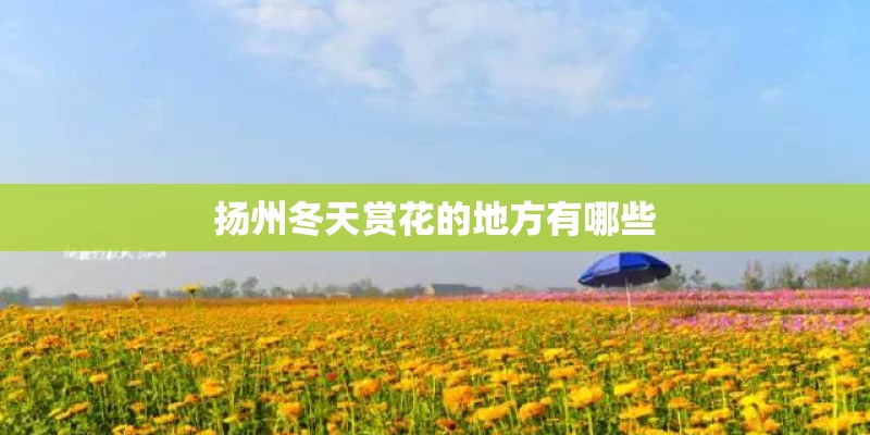 扬州冬天赏花的地方有哪些