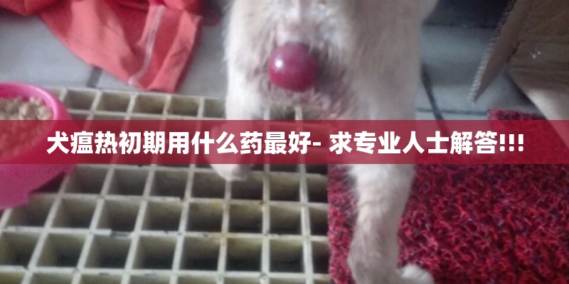 犬瘟热初期用什么药最好- 求专业人士解答!!!