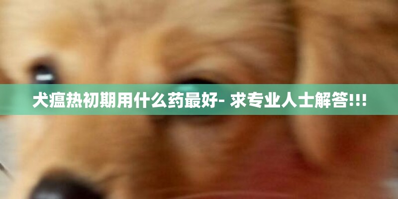 犬瘟热初期用什么药最好- 求专业人士解答!!!