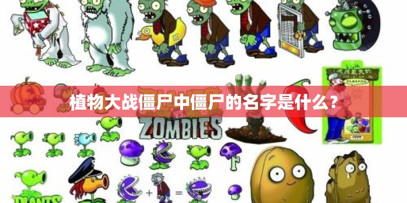 植物大战僵尸中僵尸的名字是什么？
