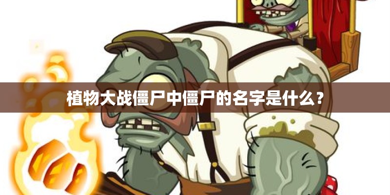 植物大战僵尸中僵尸的名字是什么？