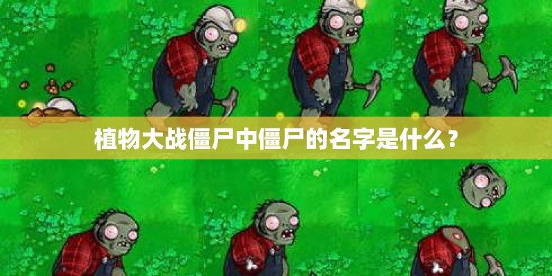 植物大战僵尸中僵尸的名字是什么？