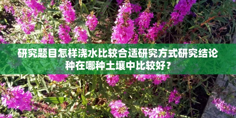 研究题目怎样浇水比较合适研究方式研究结论种在哪种土壤中比较好? 研究题目怎样浇水比较合适研究方式研究结论种在哪种土壤中比较好?