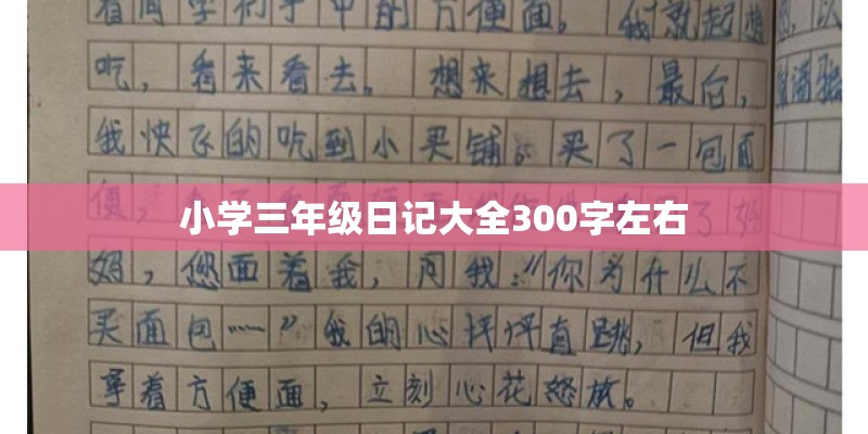 小学三年级日记大全300字左右