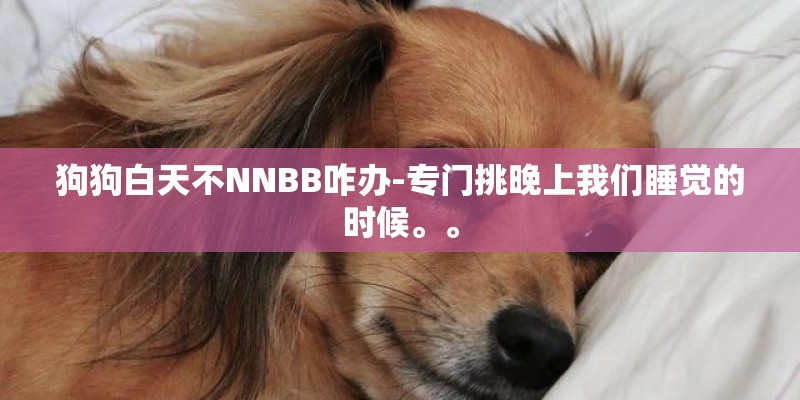 狗狗白天不NNBB咋办-专门挑晚上我们睡觉的时候。。