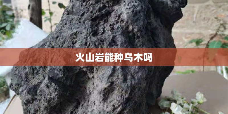 种植香芋头应注意哪些问题？